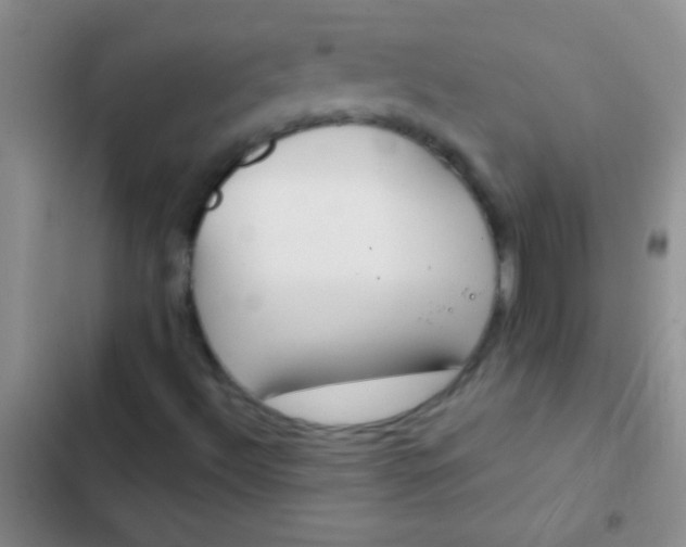 X0000102531492200808221853