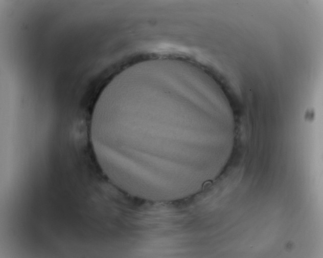 X0000102531493200808221853