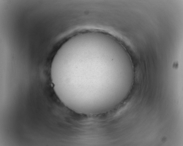 X0000102531494200808221853