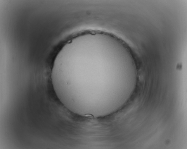 X0000102531495200808221853