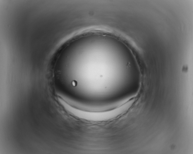 X0000102531496200808221853