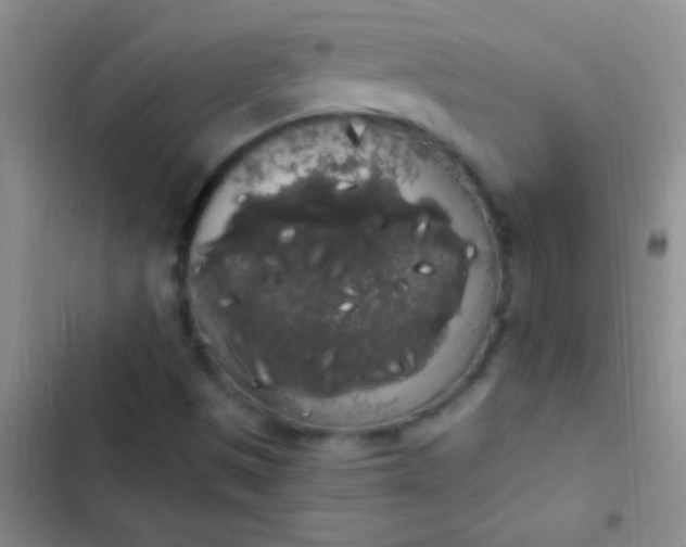 X0000102531497200808221853