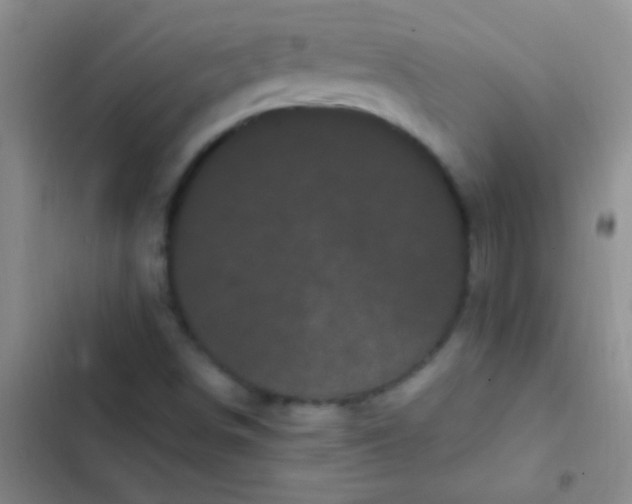 X0000102531498200808221853