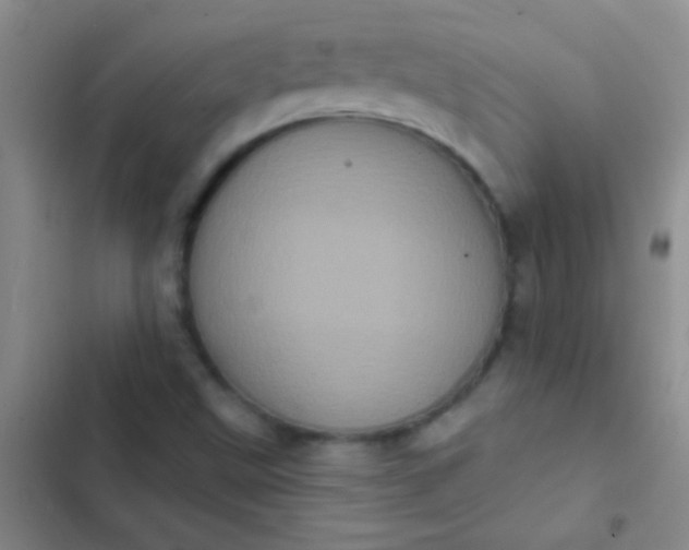 X0000102531499200808221853