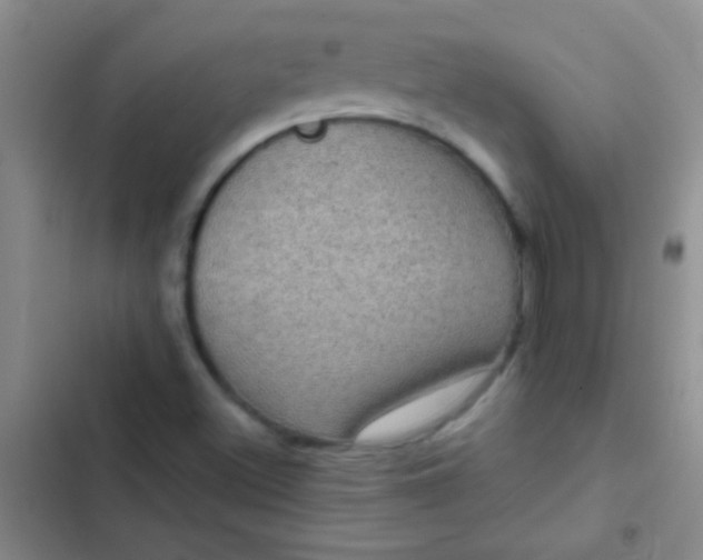 X0000102531500200808221853