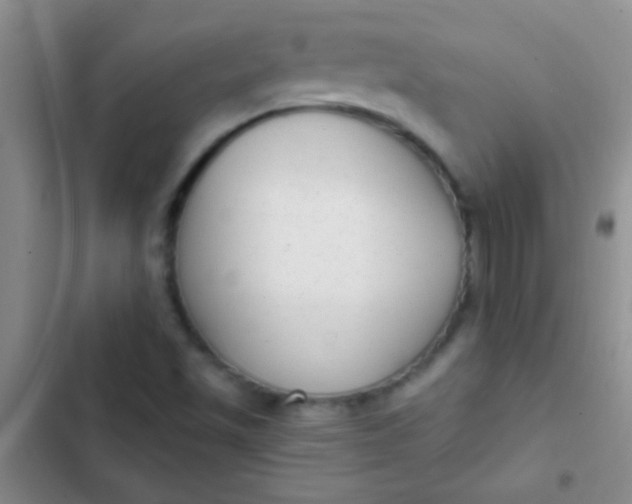 X0000102531501200808221853