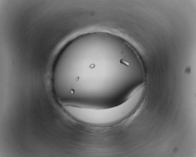 X0000102531502200808221853