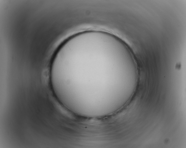 X0000102531503200808221853