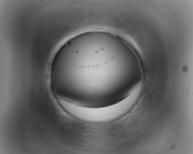 X0000102531504200808221853