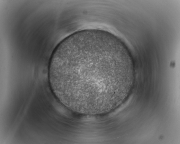 X0000102531505200808221853