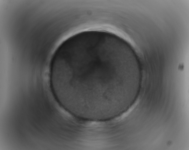 X0000102531506200808221853