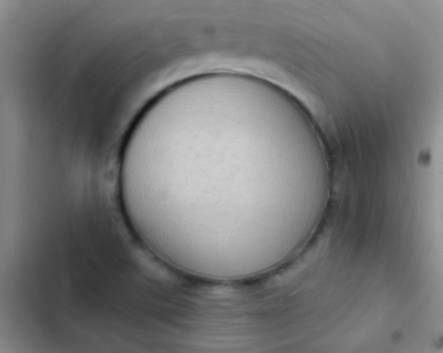 X0000102531507200808221853