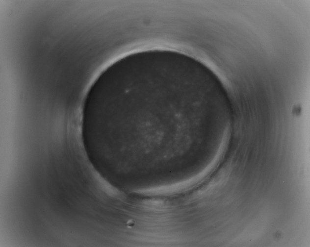 X0000102531508200808221853