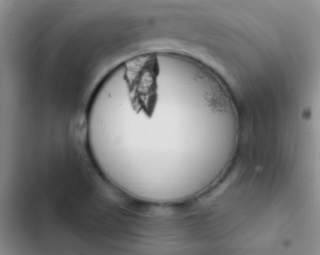 X0000102531509200808221853