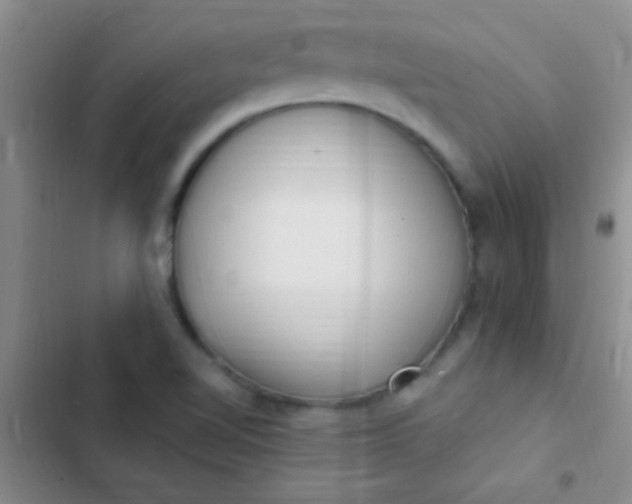 X0000102531510200808221853