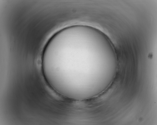 X0000102531511200808221853