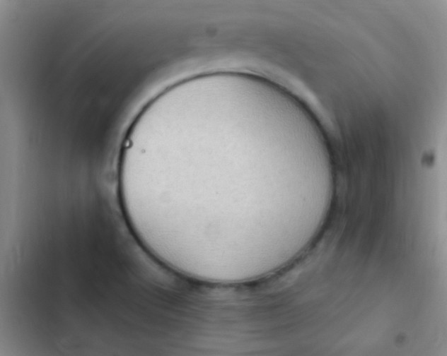 X0000102531512200808221853