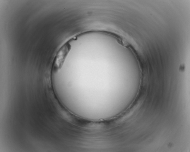 X0000102531513200808221853