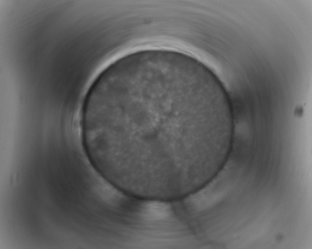 X0000102531514200808221853