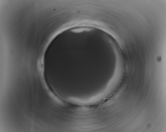 X0000102531515200808221853