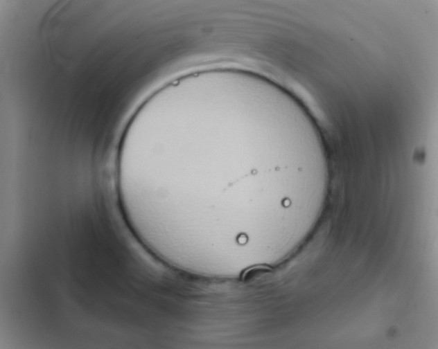 X0000102531516200808221853