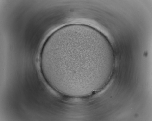 X0000102531517200808221853