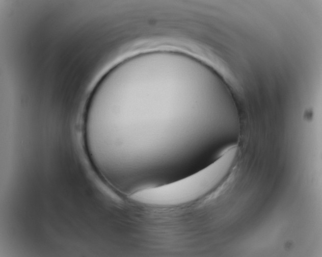 X0000102531518200808221853