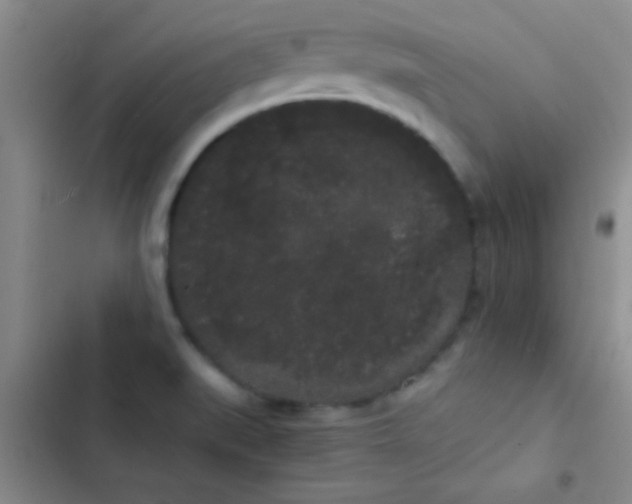 X0000102531519200808221853