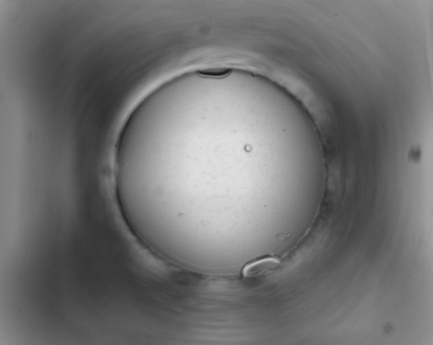 X0000102531520200808221853