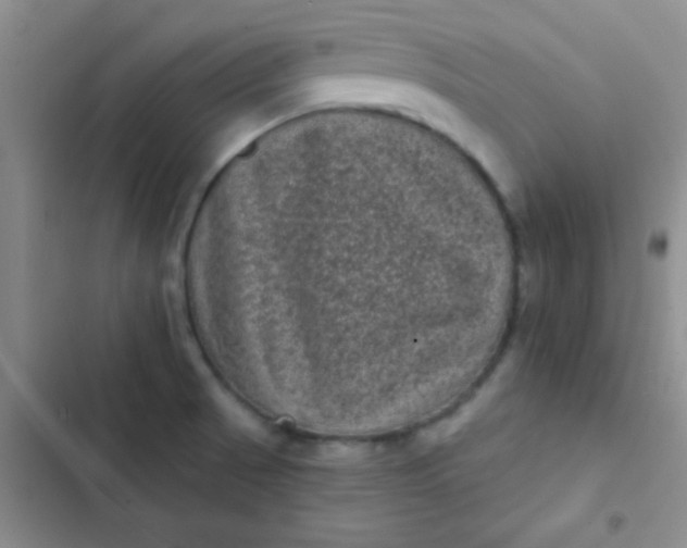 X0000102531521200808221853