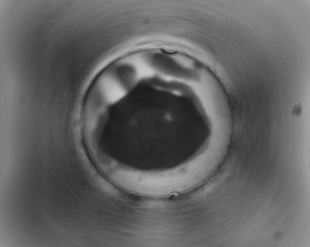 X0000102531522200808221853