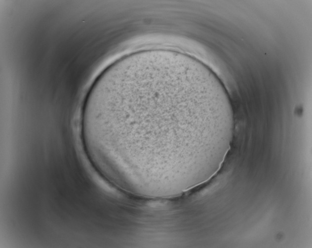 X0000102531523200808221853