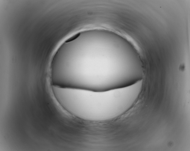 X0000102531524200808221853