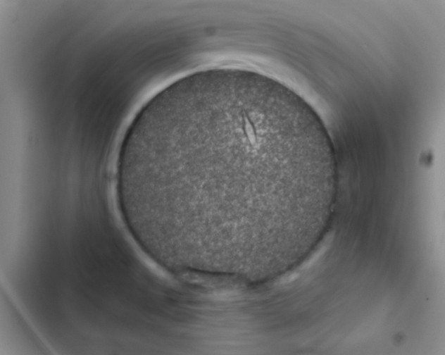 X0000102531525200808221853