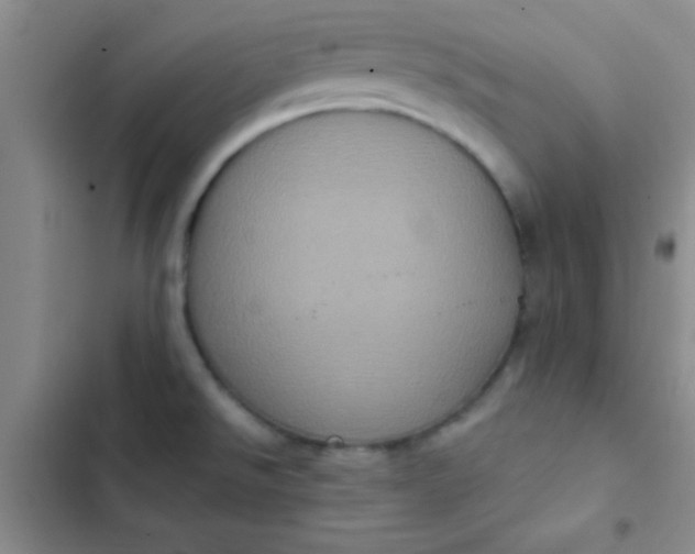 X0000102531526200808221853