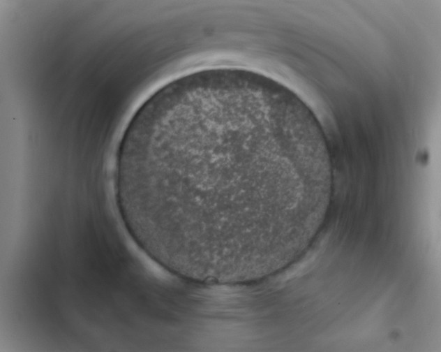 X0000102531527200808221853