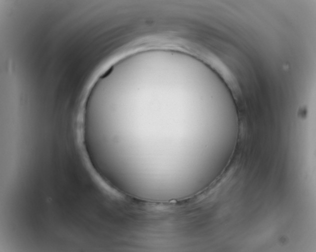 X0000102531528200808221853