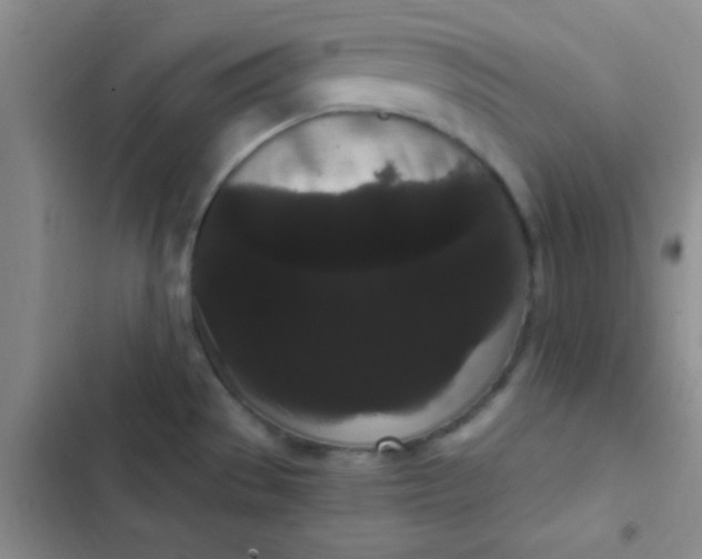 X0000102531529200808221854