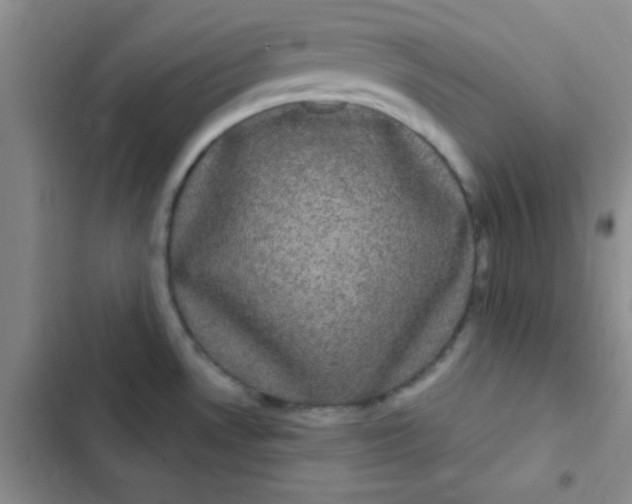 X0000102531530200808221854