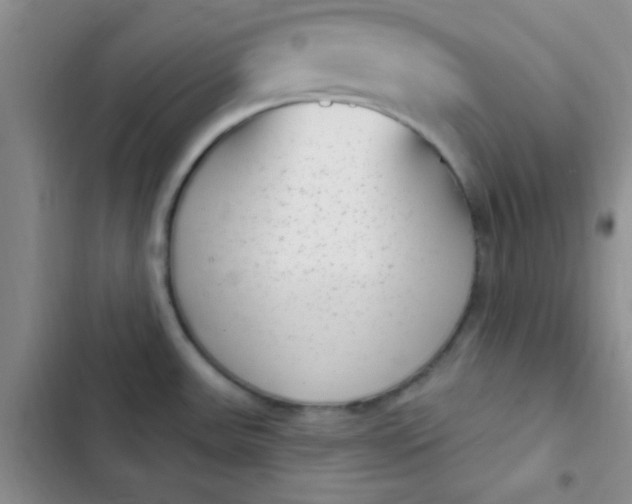 X0000102531531200808221854