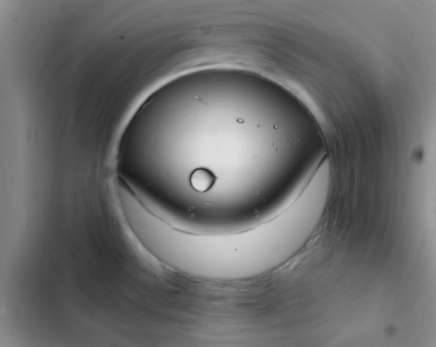 X0000102531532200808221854