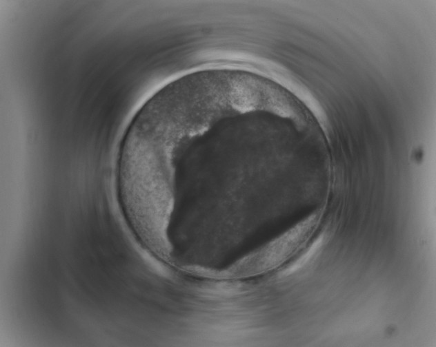 X0000102531533200808221854