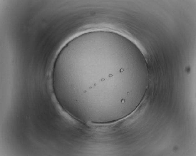 X0000102531534200808221854