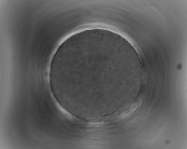 X0000102531535200808221854