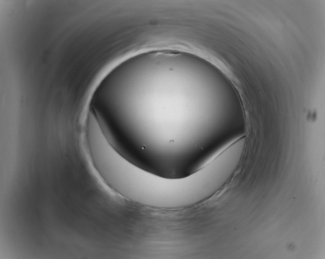 X0000102531536200808221854