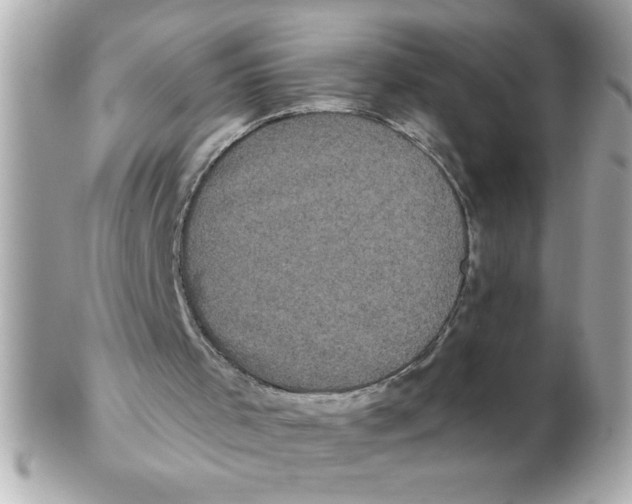 X0000102530001200808291830