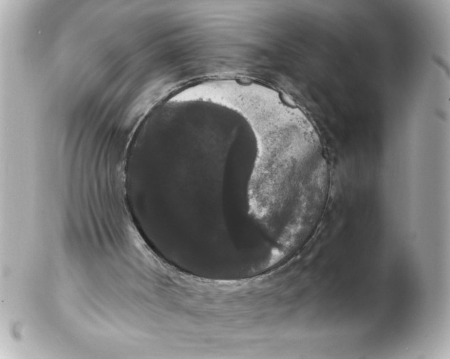 X0000102530002200808291830