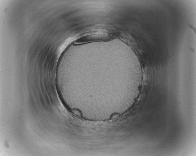X0000102530003200808291830