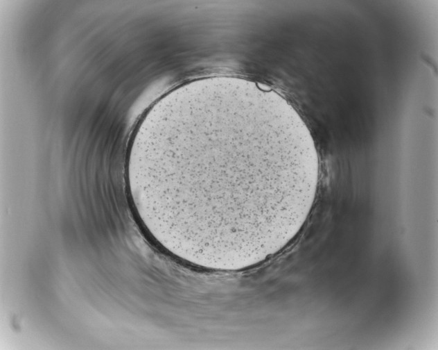 X0000102530004200808291830