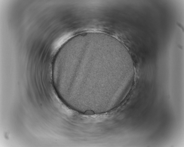 X0000102530005200808291830